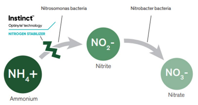 Instinct nitrogen cycle